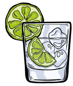 Image shows a gin and tonic glass with ice cubes and slice of lime